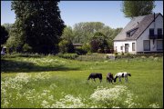 arnhem vvbvanbree2440